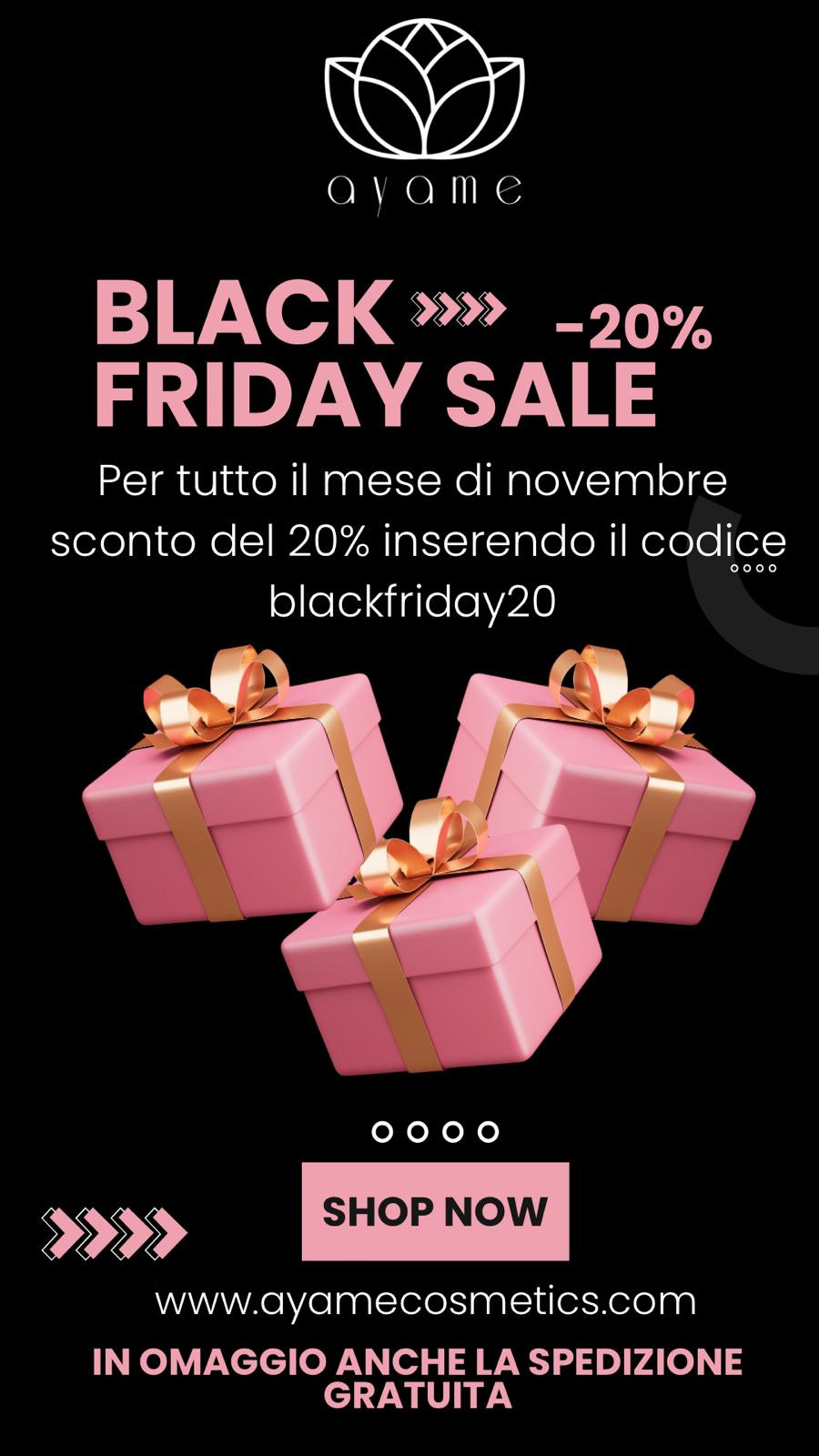 banner black-friday 2024